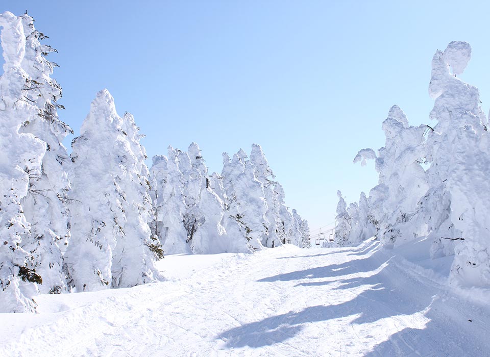 パウダースノーで最高の雪山体験を。