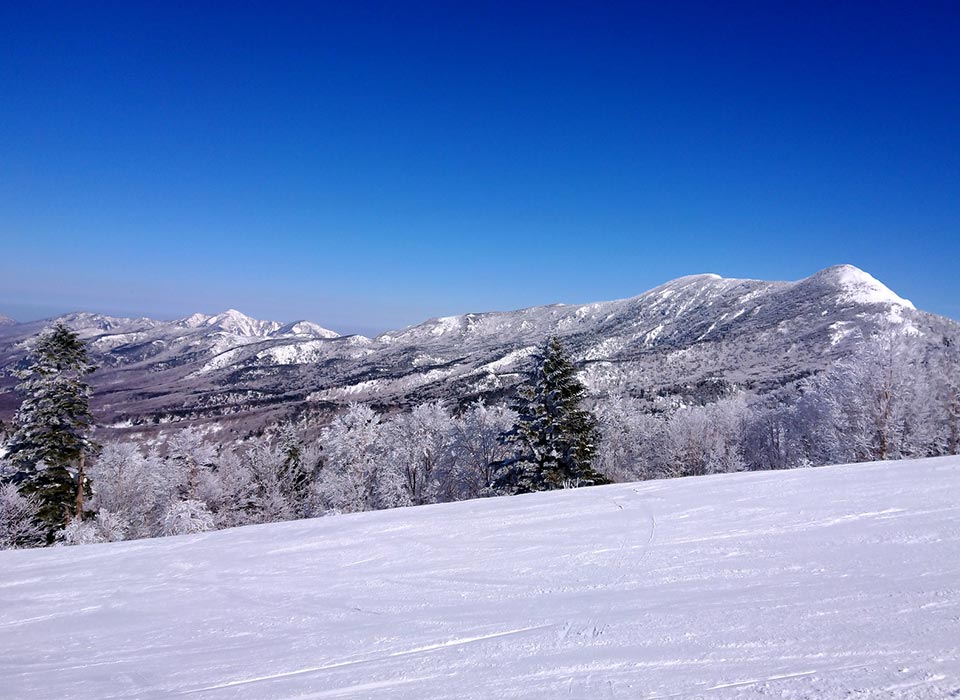 パウダースノーで最高の雪山体験を。