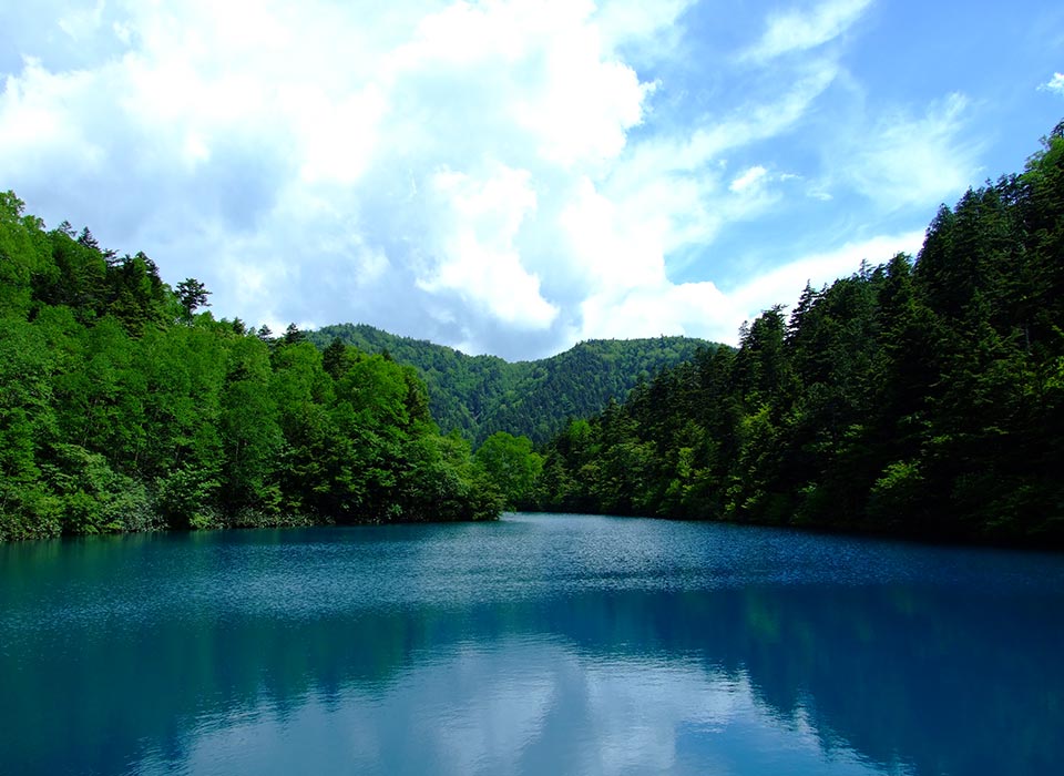 透き通る青空と、白樺の緑に癒される。