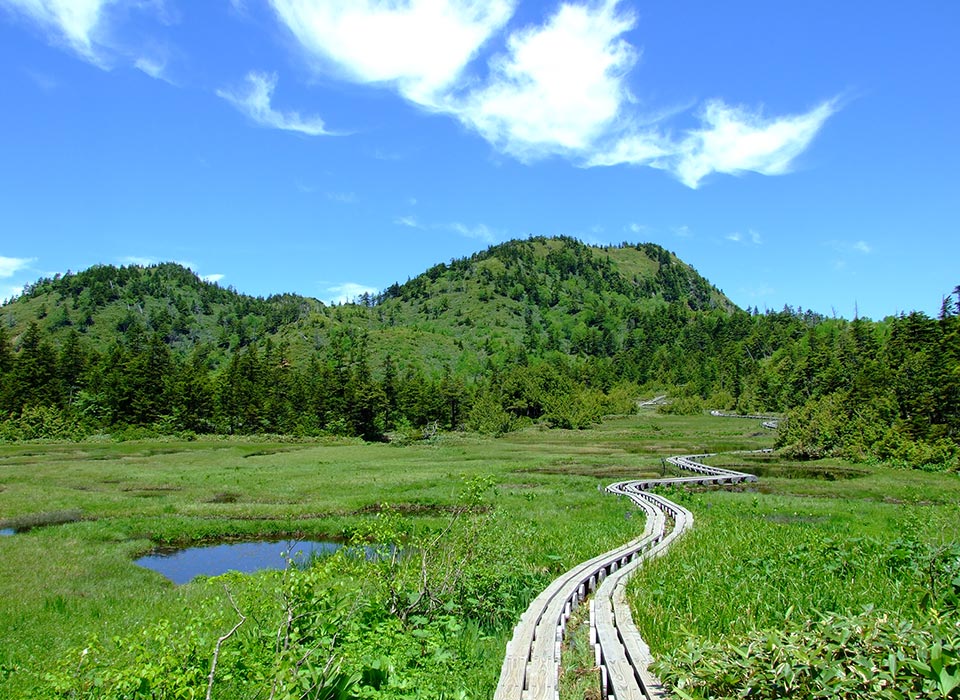 透き通る青空と、白樺の緑に癒される。